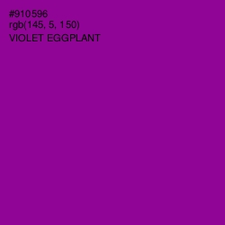 #910596 - Violet Eggplant Color Image
